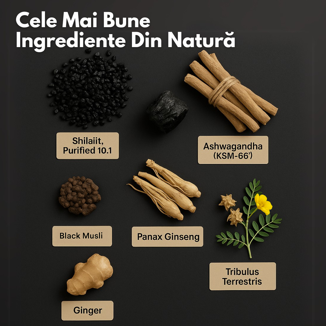 Gume cu Shilajit Pur din Himalaya – Aphroly®