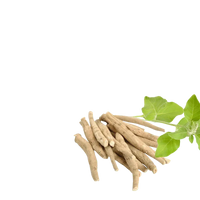 Ashwagandha (KSM-66)