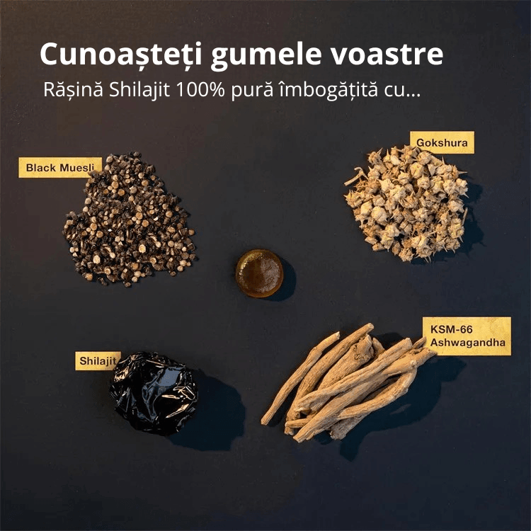 Gume cu Shilajit Aphroly®