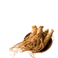 Panax Ginseng